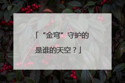 “金穹”守护的是谁的天空？
