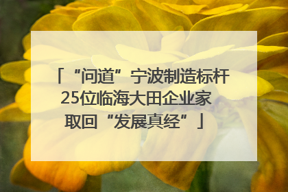“问道”宁波制造标杆 25位临海大田企业家取回“发展真经”