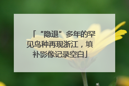 “隐退”多年的罕见鸟种再现浙江，填补影像记录空白