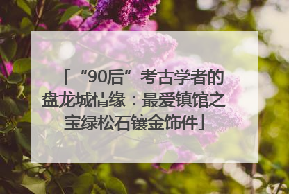 “90后”考古学者的盘龙城情缘：最爱镇馆之宝绿松石镶金饰件