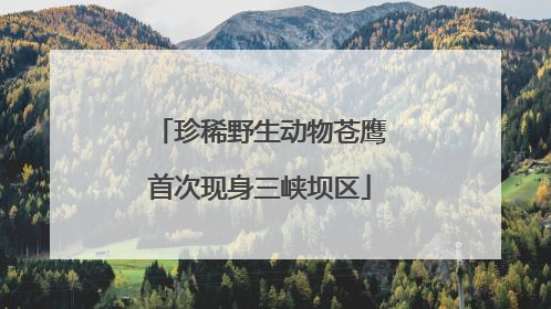 珍稀野生动物苍鹰首次现身三峡坝区