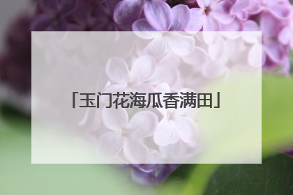 玉门花海瓜香满田