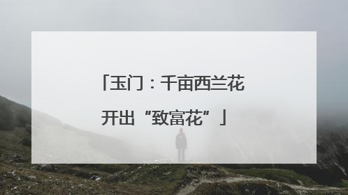 玉门：千亩西兰花开出“致富花”