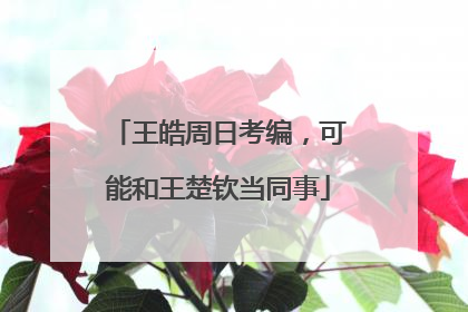 王皓周日考编，可能和王楚钦当同事