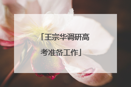 王宗华调研高考准备工作