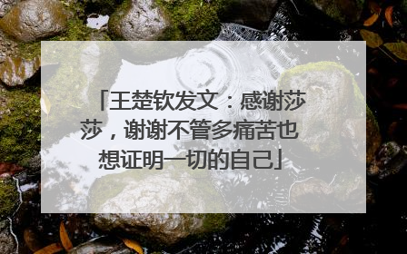 王楚钦发文：感谢莎莎，谢谢不管多痛苦也想证明一切的自己