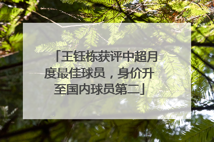 王钰栋获评中超月度最佳球员，身价升至国内球员第二