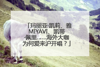 玛丽亚·凯莉、雅MIYAVI、凯蒂·佩里……海外大咖为何爱来沪开唱？