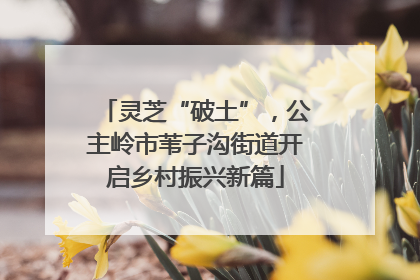 灵芝“破土”，公主岭市苇子沟街道开启乡村振兴新篇