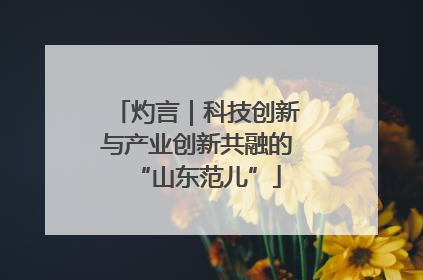 灼言｜科技创新与产业创新共融的“山东范儿”