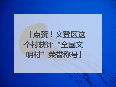 点赞！文登区这个村获评“全国文明村”荣誉称号