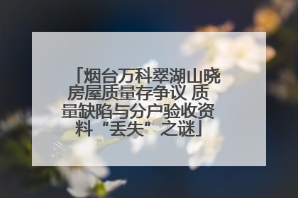 烟台万科翠湖山晓房屋质量存争议 质量缺陷与分户验收资料“丢失”之谜