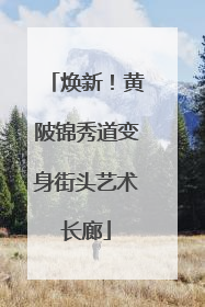 焕新！黄陂锦秀道变身街头艺术长廊