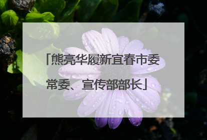熊亮华履新宜春市委常委、宣传部部长
