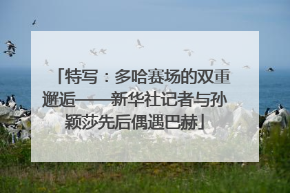 特写：多哈赛场的双重邂逅——新华社记者与孙颖莎先后偶遇巴赫