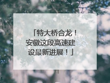 特大桥合龙！安徽这段高速建设最新进展！