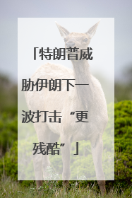 特朗普威胁伊朗下一波打击“更残酷”