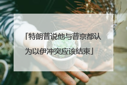 特朗普说他与普京都认为以伊冲突应该结束
