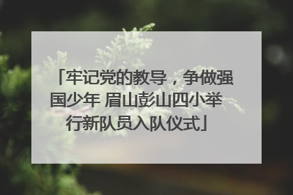 牢记党的教导，争做强国少年 眉山彭山四小举行新队员入队仪式