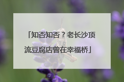 知否知否？老长沙顶流豆腐店曾在幸福桥