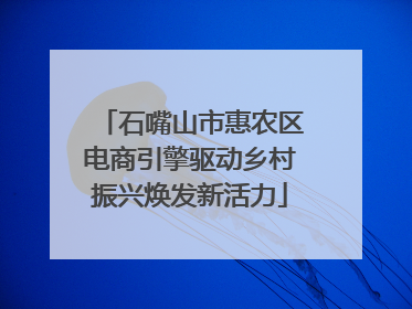 石嘴山市惠农区电商引擎驱动乡村振兴焕发新活力