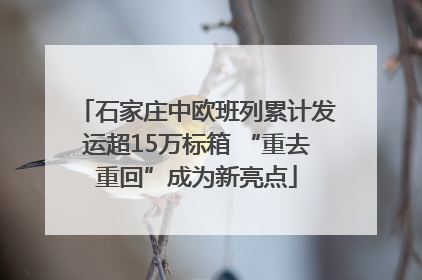 石家庄中欧班列累计发运超15万标箱 “重去重回”成为新亮点