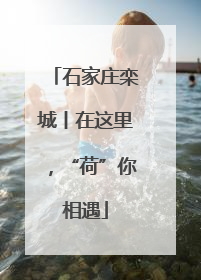 石家庄栾城丨在这里，“荷”你相遇