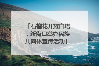 石榴花开耀白塔，新街口举办民族共同体宣传活动