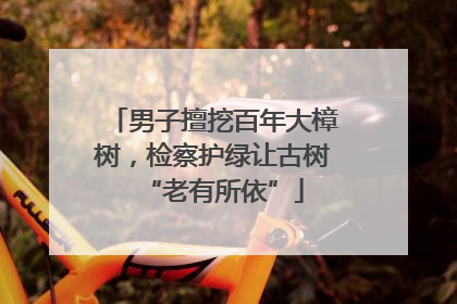 男子擅挖百年大樟树，检察护绿让古树“老有所依”