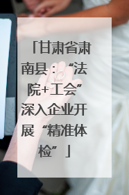 甘肃省肃南县：“法院+工会”深入企业开展“精准体检”