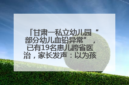 甘肃一私立幼儿园“部分幼儿血铅异常”，已有19名患儿跨省医治，家长发声：以为孩子出问题，没想过会与学校有关