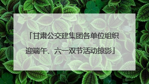 甘肃公交建集团各单位组织迎端午、六一双节活动掠影