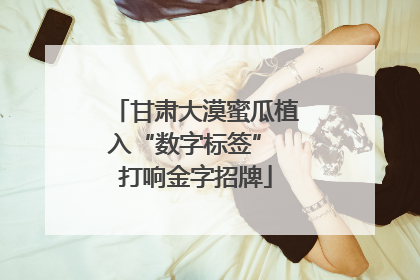 甘肃大漠蜜瓜植入“数字标签” 打响金字招牌