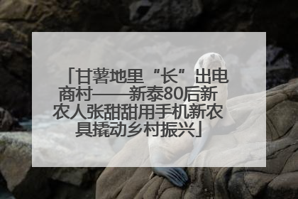 甘薯地里“长”出电商村——新泰80后新农人张甜甜用手机新农具撬动乡村振兴