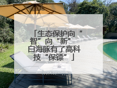 生态保护向“智”向“新” 白海豚有了高科技“保镖”
