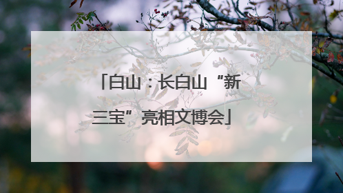 白山：长白山“新三宝”亮相文博会