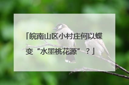 皖南山区小村庄何以蝶变“水墨桃花源”？