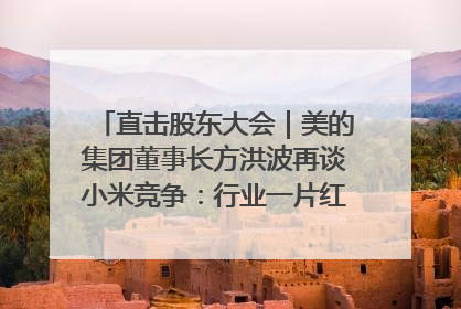 直击股东大会｜美的集团董事长方洪波再谈小米竞争：行业一片红海，打法已固定，无论谁胜都是消耗战
