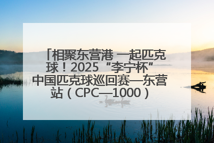 相聚东营港 一起匹克球！2025“李宁杯”中国匹克球巡回赛—东营站（CPC—1000）暨“好运山东”黄河口匹克球公开赛落幕