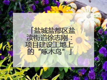 盐城盐都区盐渎街道徐志刚：项目建设工地上的“啄木鸟”