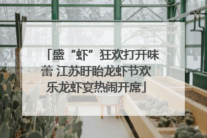 盛“虾”狂欢打开味蕾 江苏盱眙龙虾节欢乐龙虾宴热闹开席