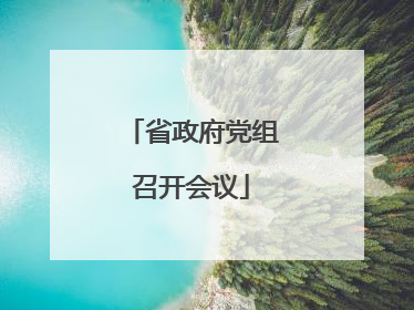 省政府党组召开会议