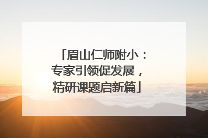 眉山仁师附小：专家引领促发展，精研课题启新篇