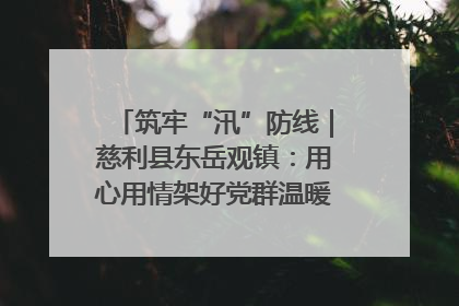 筑牢“汛”防线｜慈利县东岳观镇：用心用情架好党群温暖悠长的“连心桥”