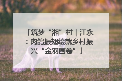 筑梦“湘”村｜江永：肉鸽振翅绘就乡村振兴“金羽画卷”