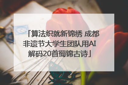 算法织就新锦绣 成都非遗节大学生团队用AI解码20首蜀锦古诗