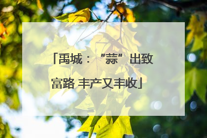 禹城：“蒜”出致富路 丰产又丰收