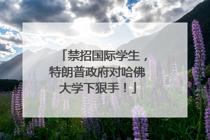 禁招国际学生，特朗普政府对哈佛大学下狠手！