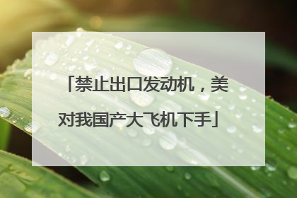 禁止出口发动机，美对我国产大飞机下手