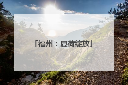 福州：夏荷绽放